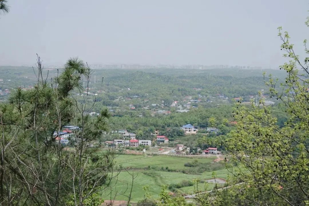 DƬ